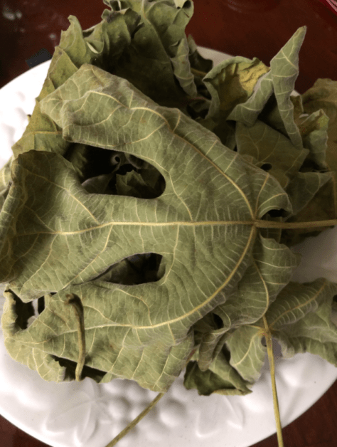 Benefits of Fig Leaves